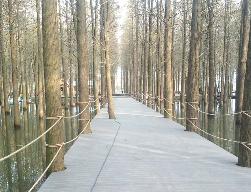 湖北仙桃夢(mèng)里水鄉(xiāng)水上浮橋